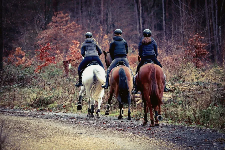 Trois cavaliers en randonnée sur un chemin forestier, en automne